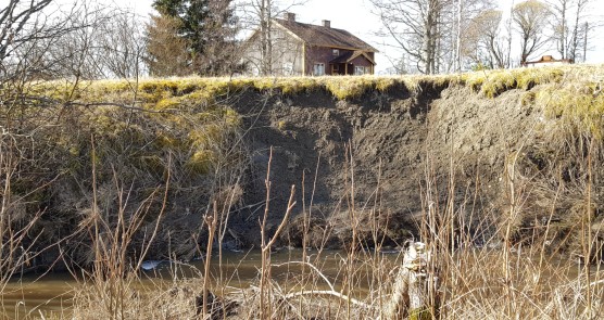 Loimijoen rantaa ovat syöneet suuret virtaamat.